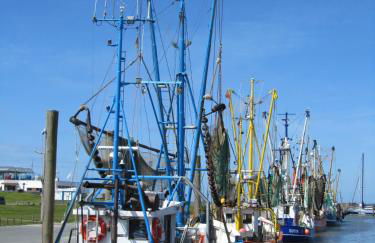 Ellie-Ferienhaus Strandräuber - VS1 - Foto 34