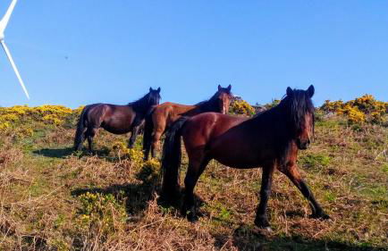 Miradouro da Branda - Foto 37