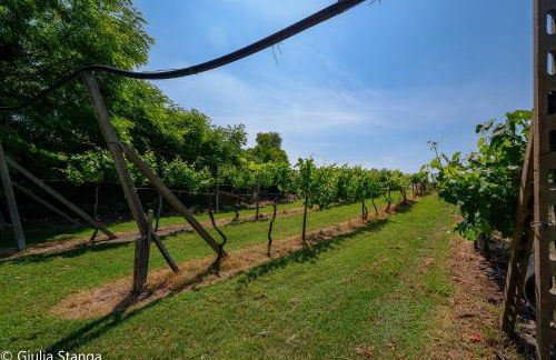 Cascina Graziosa - Foto 46