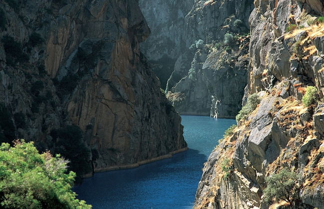 La Casa del Vino - Foto 31