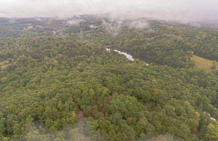 BUY 2 get 1 free deal Romantic Tip Top Hideaway, 10 MINUTE FROM H - Foto 43