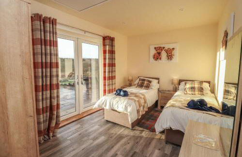 Red Squirrel - Foto 18