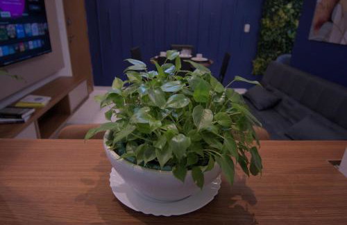 Seu Melhor Conforto Fora de Casa Blue - Foto 13