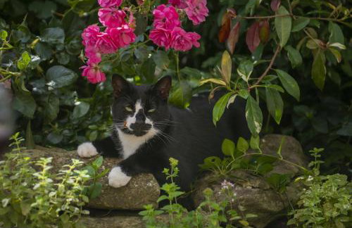 Church Farm - Foto 31