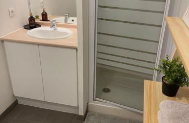 Appartement T1 Colomiers proche AIRBUS - Foto 3