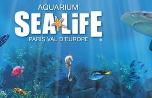 Appart COSY F2 Disneyland/Val d'Europe - Foto 37