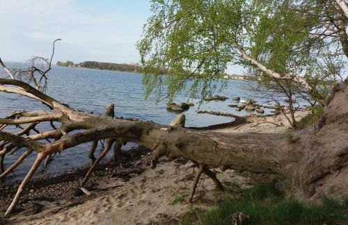 Ferienwohnung Klabautermann - Foto 13