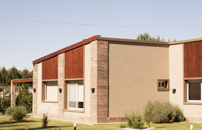 Olivos de Monte - Foto 65