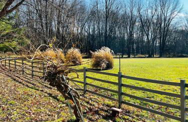 Winifreds Hideaway - Photo 9