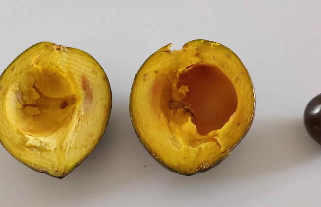 Casale Della Pergola Eco-friendly by the sea - Foto 42