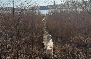 Oaza Radęcin - Foto 34