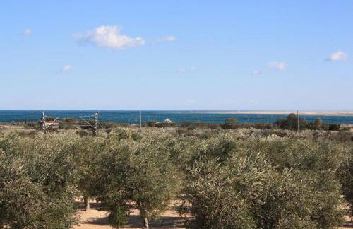 Cau d'Amor - Foto 32