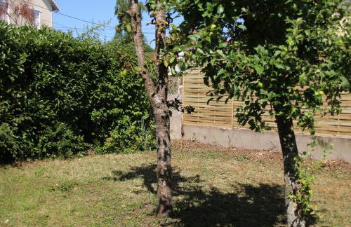 La Miranda Dijon - Foto 21