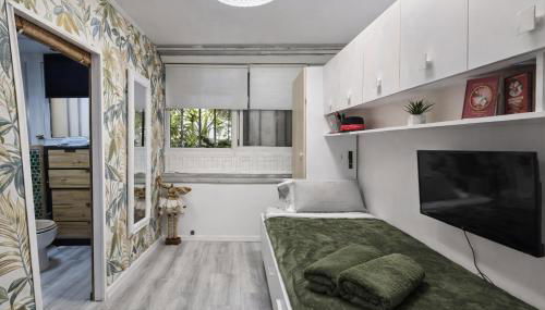 El expreso del viajero - Foto 4