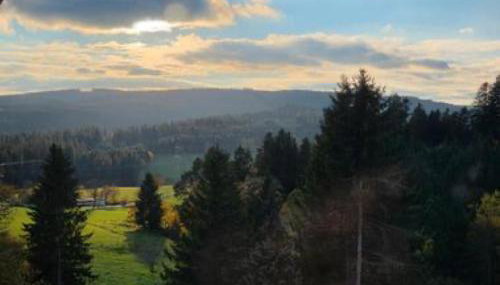 Schwarzwaldblick Rothaus - Foto 2