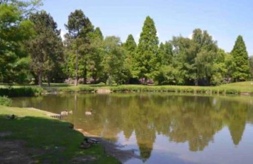 Helle Maisonnette Wohnung Penthouse - Foto 28