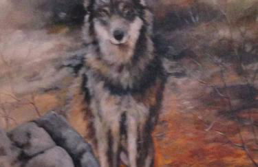 Alpe di Sara - Foto 29