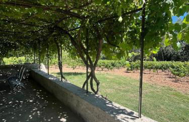 Charmant Cabanon Provençale à Montfort-sur-Argens - Foto 17