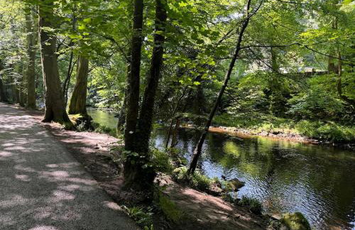 Apartment in Oughtibridge - Foto 28