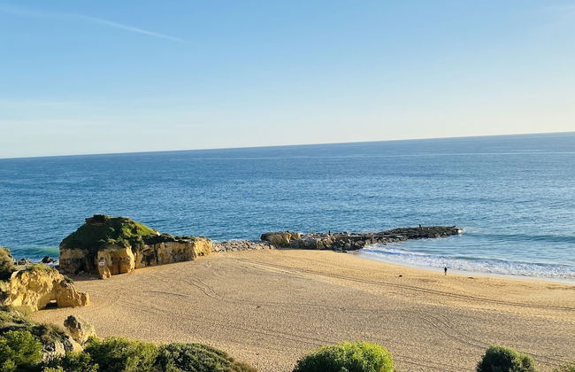 Beira Mar CIP - Photo 36