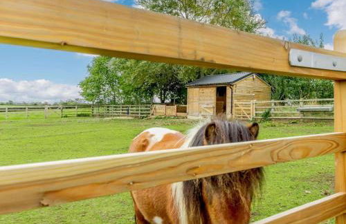 3 Bed in York oc-89538 - Photo 38