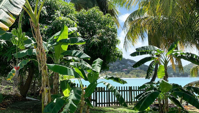 Hideaway Apartments Grenada - Foto 1, Imagen principal