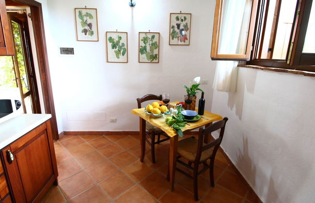 Holiday Home in Selci With Saltwater Pool - Foto 18