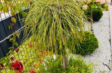 Domki Apartamentowe Orłówka - Photo 25