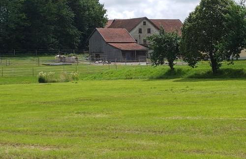 Ferienwohnung Robl - Foto 14