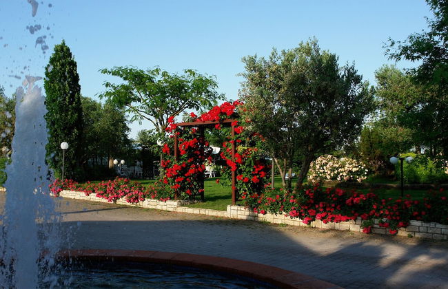 Fattoria Belvedere - Photo 35