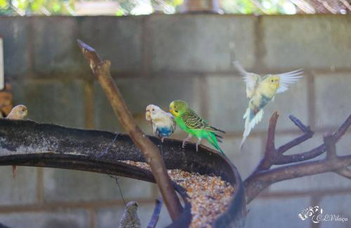 Pousada e Restaurante Victórios - Photo 18