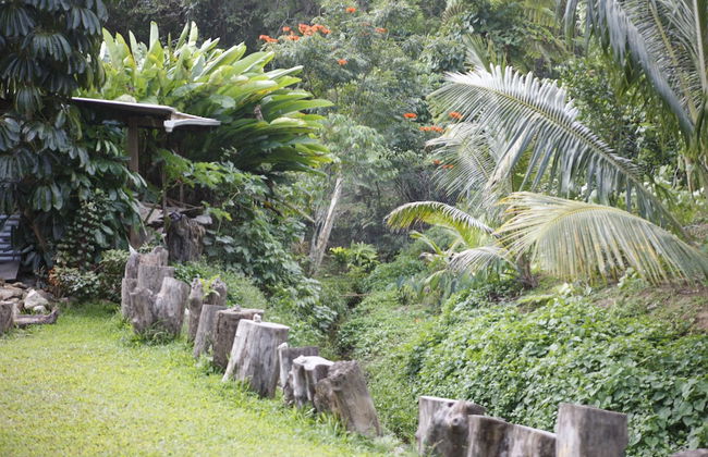 Maui Creek Bures - Foto 28