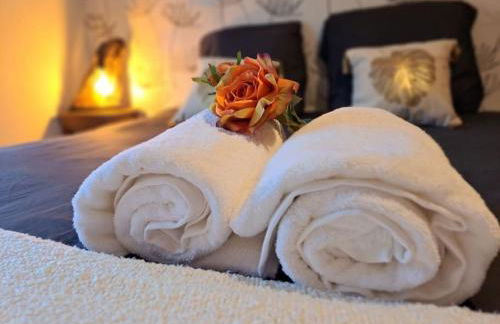 Gîte Spa "La Foret Argentée" proche Gérardmer - Foto 25