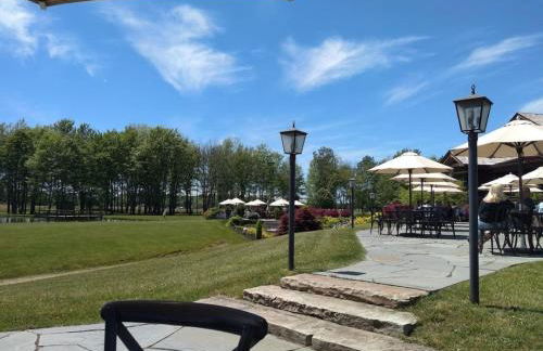 Modern Cottage with hot tub near lake, wineries, Geneva and SPIRE - Foto 46