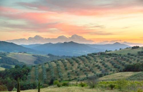 Agriturismo San Tommaso - Foto 32