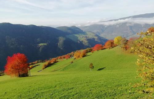 Anger living - Photo 52