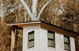 Lofted Romantic Tree House Immersed in Nature in Alabama - Foto 8