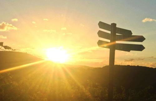 Holiday home in Bullay with sauna - Foto 48