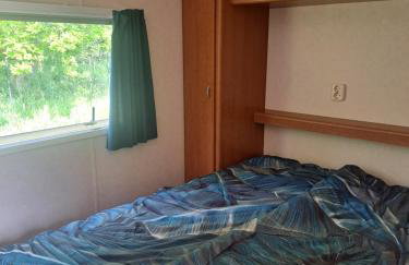 Ulinia Wilcza 4 niebieski - Photo 6