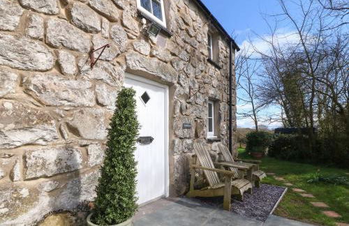 Y Bwthyn Ty Du - Photo 3