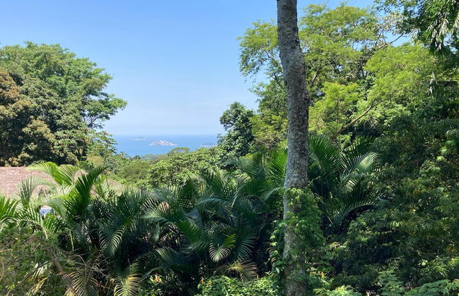 Rainforest Paradise - Foto 20