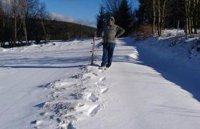 Gasthaus Piesau - Thüringer Wald - Rennsteig - Foto 65