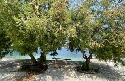 Villa Evita Apartments - Foto 18