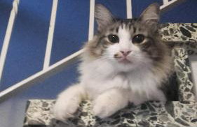 Haus-Fehmarn-am-Dorfteich-|-Wohnung-2-West - Foto 50