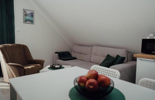 Apartamenty Kaszuba - Foto 46