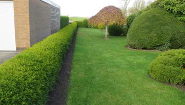 Ferienhaus PH 17 - Foto 3, Garden view