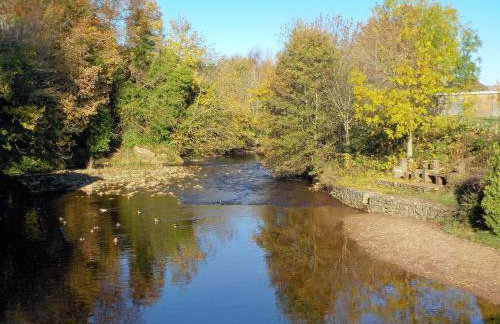 Riverbank Cottage - Photo 14