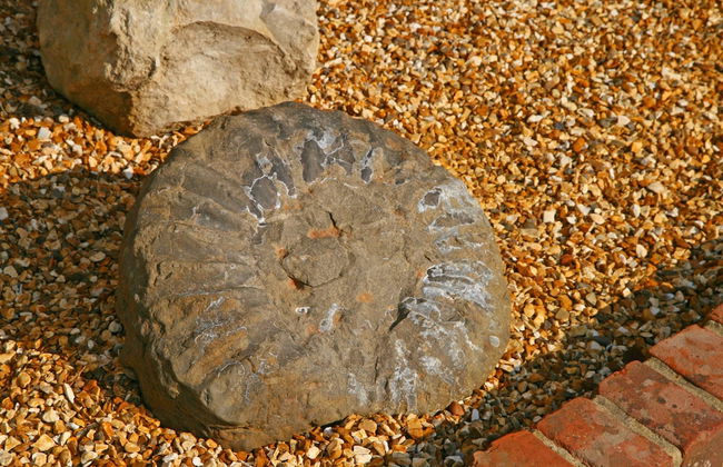 Chale Bay Farm - Photo 47