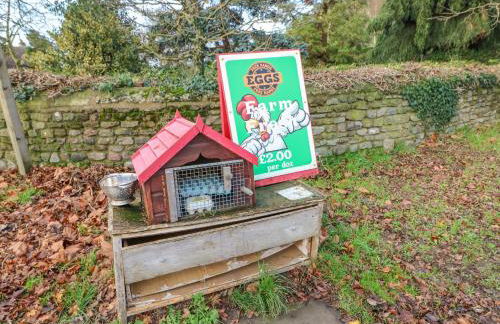 Carvin-Tor - Foto 27