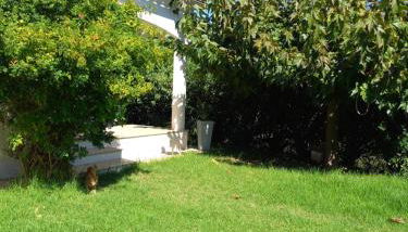 afa butrone sarrola - Foto 5